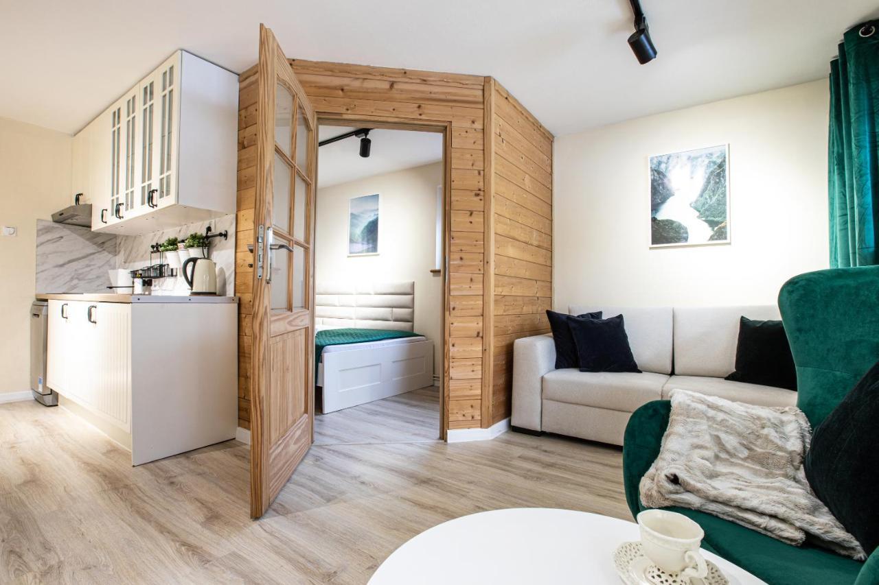 Apartament Z Sauna ザコパネ エクステリア 写真